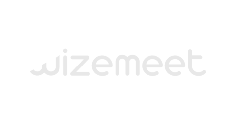 WizeMeet Logo